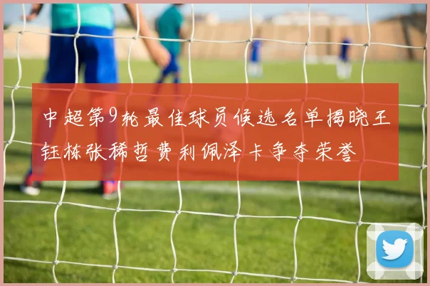 中超第9轮最佳球员候选名单揭晓王钰栋张稀哲费利佩泽卡争夺荣誉